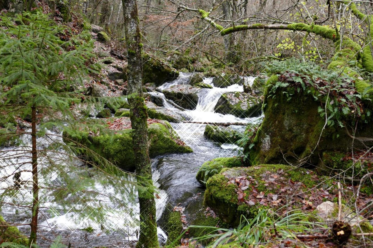 Roulotte Maisonthiers Blanot  Buitenkant foto