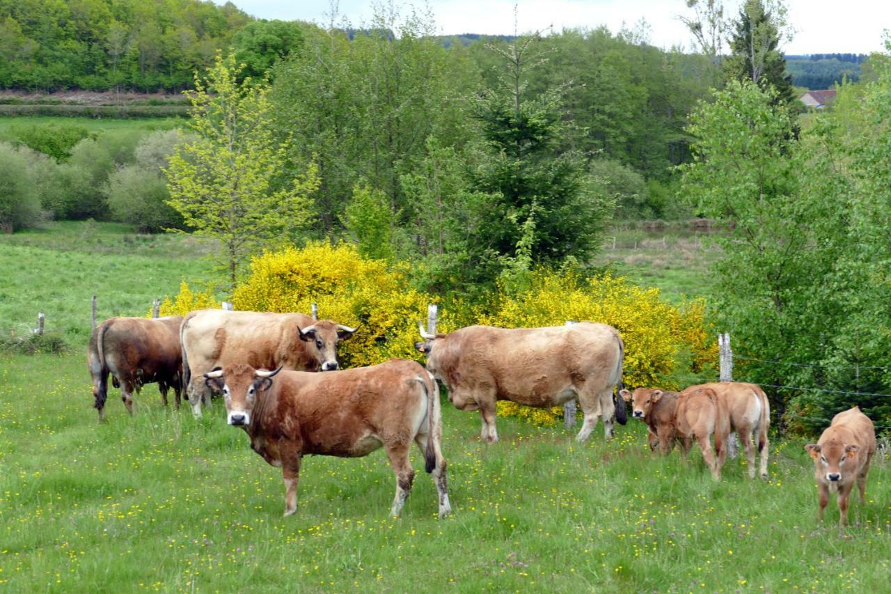 Roulotte Maisonthiers Blanot  Buitenkant foto